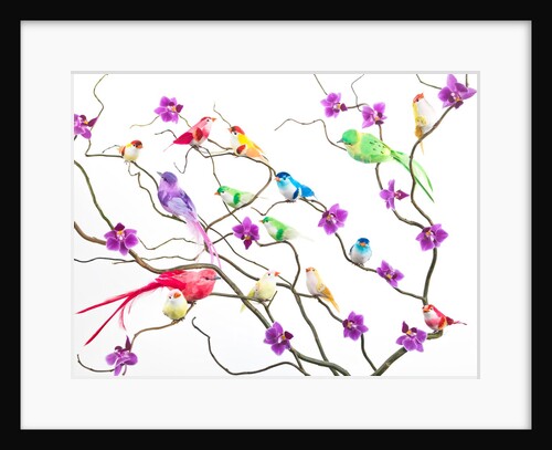 Fake birds on branches by Assaf Frank